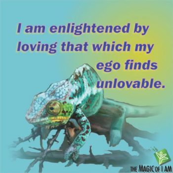 i-am-enlightened